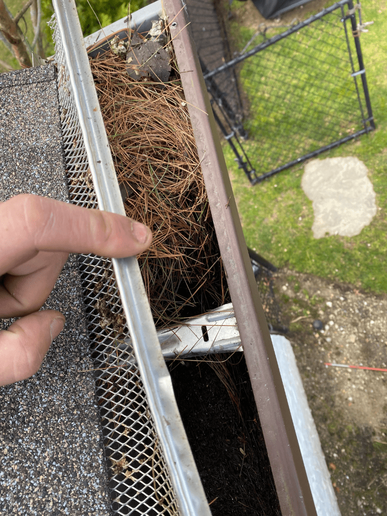 Untitled design (29)